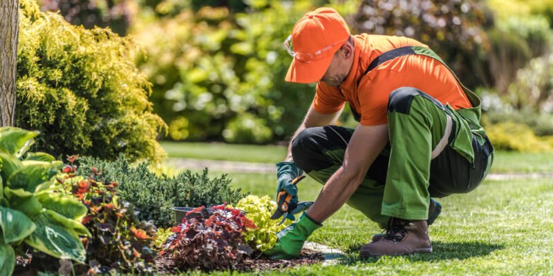 Gardening Services B2